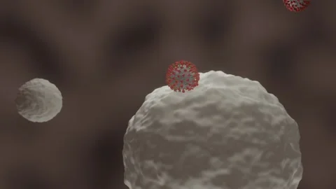 A virus infecting a cell Stock Footage 205086869