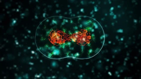 Virus infection visualization. Coronavirus 2019-nCoV pathogen cells inside Stock Footage 127726766