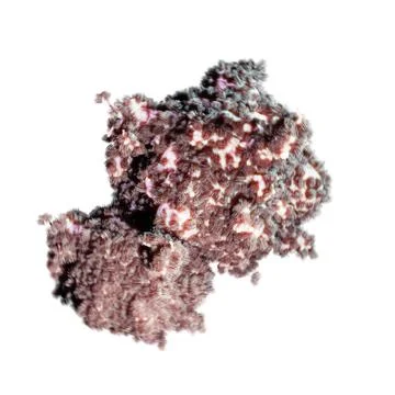 Virus isolated on white Stock Illustration