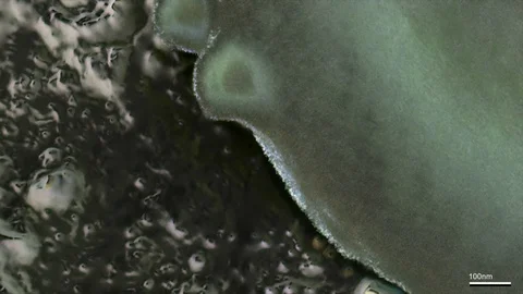 Virus life closeup Stock Footage 98779587