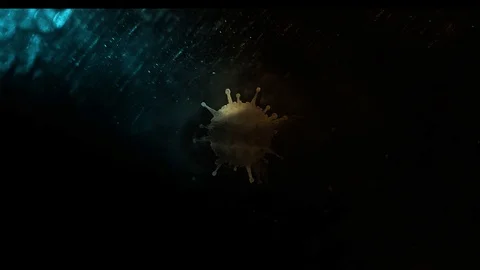 Virus Microscope Particles  Logo Reveal 4k Stock Footage 127058103
