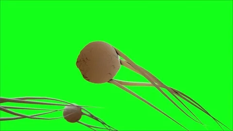 Virus molecule in stream on the green screen. Stock Footage 74801644