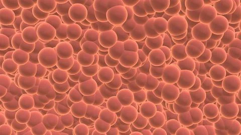 Virus Multiplication Inside Human Cells Stock Illustration