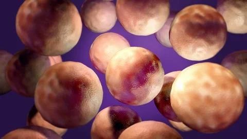 Virus multiplication, Viral replication infection process in the target host ce Stock Footage 128253393