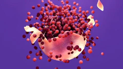 Virus multiplication, Viral replication infection process in the target host cel イラスト素材