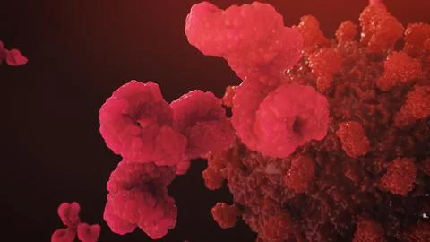 Virus Neutralised by Antibody Binding 3D Medical Illustration Stock Illustration