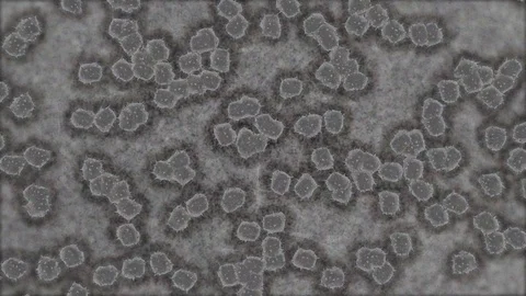 Virus observed under a microscope 動画素材 127019954