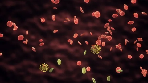Virus or bacteria cell infection spreading Video stock 99039905