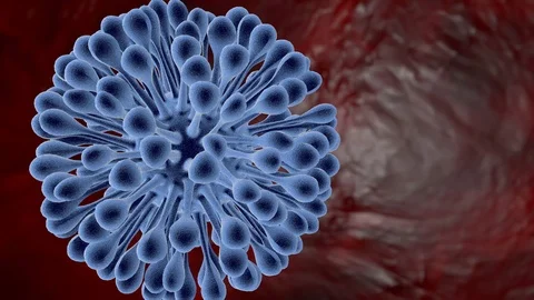 Virus or bacterium under the microscope in motion on a red background Stock Footage 125084197