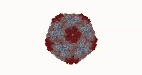 Virus Particle 3D Structure Rotation 스톡 동영상 306536962