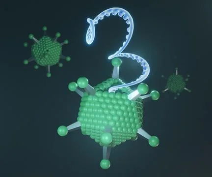 Virus polyhedral morphology with single stranded DNA Stock Illustration
