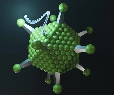 Virus polyhedral morphology with single stranded DNA Stock Illustration