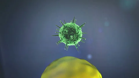 Virus replication in the cell, Coronavirus atack the lungs cell Stock Footage 61803080