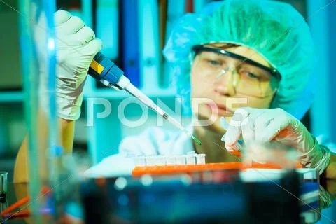 Virus research Stock Photos