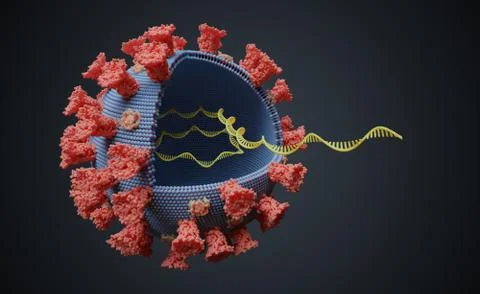 Virus with RNA molecule inside. Viral genetics concept. 3D rendered illustrat Illustrazione stock