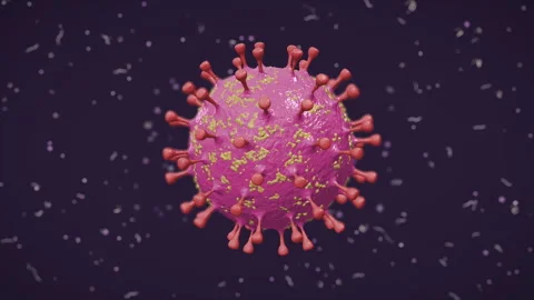 Virus - Simple - 01 - 02 - Pink - 4K - 30 FPS Video stock 304964954