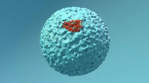 Virus size, Coronavirus size compared to cell, Virus attacking a human cell, Mic イラスト素材