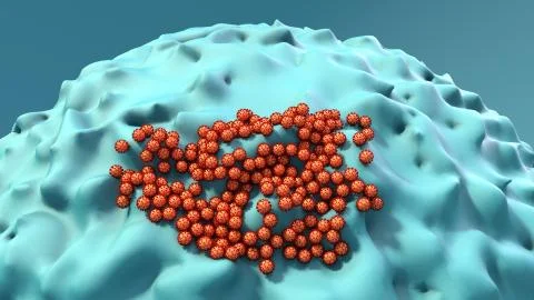 Virus size, Coronavirus size compared to cell, Virus attacking a human cell, Mic Illustrazione stock
