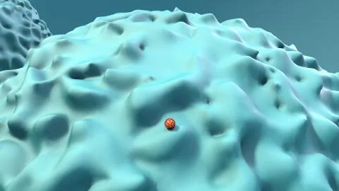 Virus size, Coronavirus size compared to cell, Virus attacking a human cell, Mic Illustrazione stock