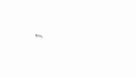 Virus Spread Black Stock Footage 100799955