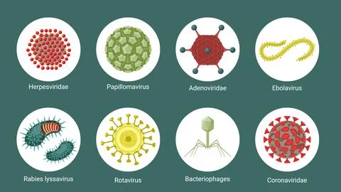 Virus structure under microscope set. Red molecules herpes virus green polygons Stock-Illustration