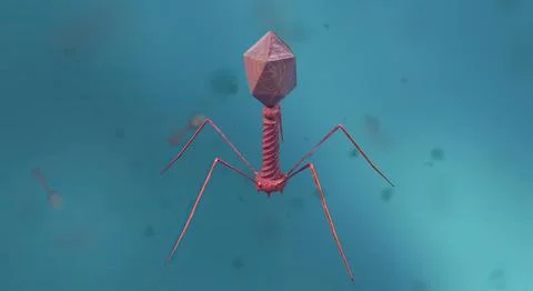 A virus is a submicroscopic infectious agent that replicates only inside the  Stock Illustration