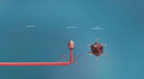 A virus is a submicroscopic infectious agent that replicates only inside the  Stock Illustration