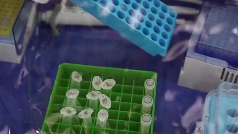 Virus test in barrack chambers Stock Footage 157358856