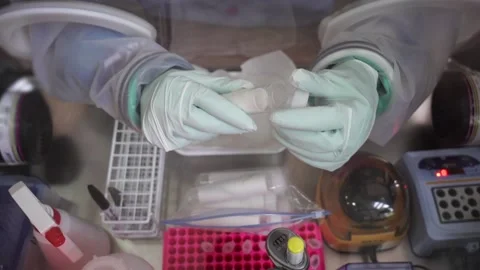 Virus test in barrack chambers Video stock 157358929