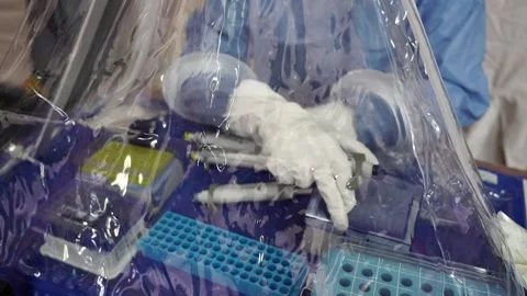 Virus test in barrack chambers Video stock 157358978