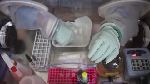 Virus test in barrack chambers Video stock 157358999