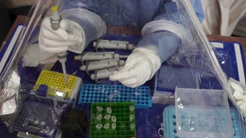 Virus test in barrack chambers Stock Footage 157359011