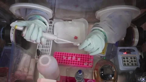 Virus test in barrack chambers Stock Footage 157359026