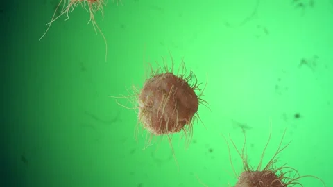 Virus On Toxic Environment 3D Animation Stock Footage 265030361