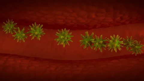 Virus travelling in body seamless loop 3D render animation Stock Footage 128669446
