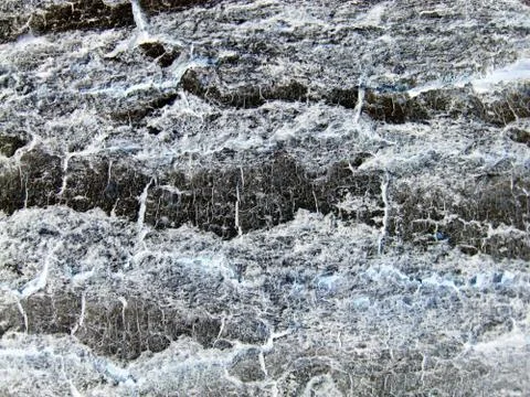 Virus under microscope. Bacteria macro in grey colors Stock Illustration