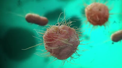 Virus on Water 3D Animation Video stock 265030391