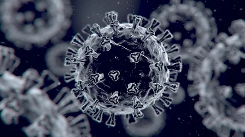 Virus Xray Looping A02 Video stock 128038499
