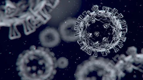 Virus Xray Looping Video stock 128038224