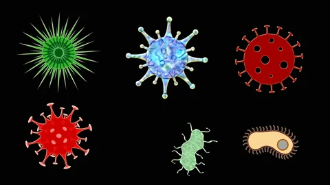Viruses and bacteria circle and move against a black background. Stock Footage 148143302