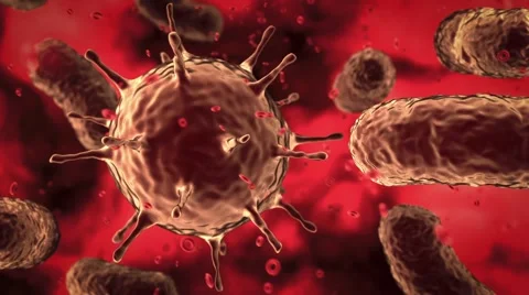 Viruses and bacteria 스톡 동영상 51004431
