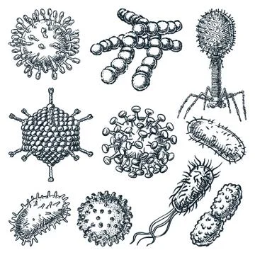 Viruses and bacterium set. Vector sketch illustration. Hepatitis, coronavirus Stock-Illustration