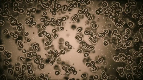 Viruses attacking cells or bacterias under microscope 3d rendering Stock Footage 85417297