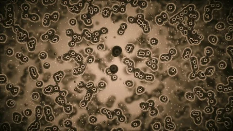 Viruses attacking cells or bacterias under microscope 3d rendering Stock Footage 86657288
