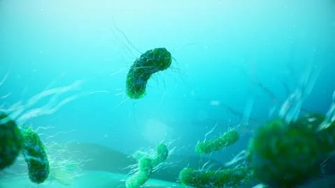 Viruses causing infectious diseases, decreased immunity. Concept of viral Stock Illustration