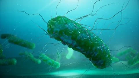 Viruses causing infectious diseases, decreased immunity. Concept of viral Stock Illustration