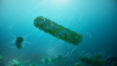 Viruses causing infectious diseases, decreased immunity. Concept of viral Stock Illustration