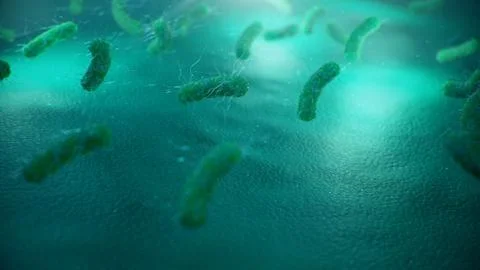 Viruses causing infectious diseases, decreased immunity. Concept of viral Stock Illustration
