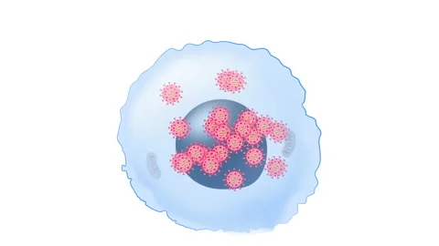 Viruses life cycle for example COVID-19 Vidéo 130800383