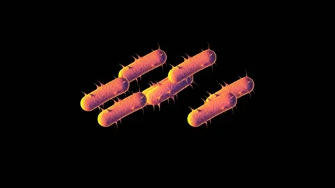 Viruses or some other cells animation Video stock 141003623